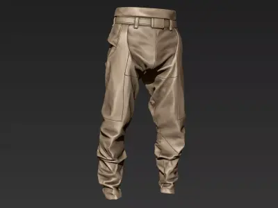 Zbrush Tactical Pants 02 3D model