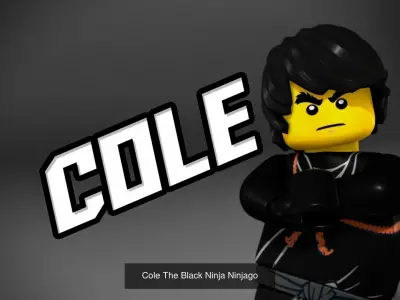 Lego Ninjago Ninjas Season 1 Character Pack