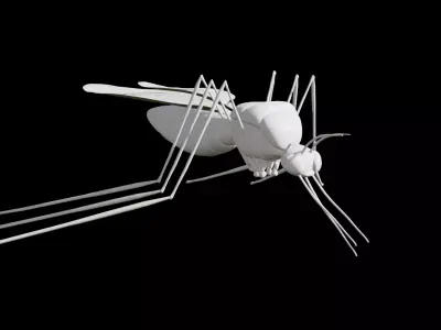 Mosquito Low-poly 3D model