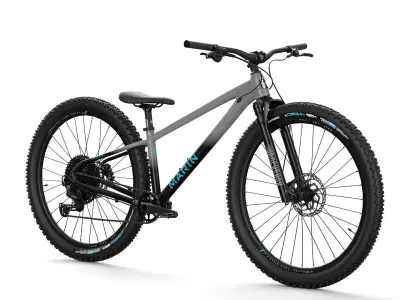 MTB hardtail in grey black Low-poly 3D model