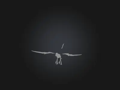 Realistic Pteranodon Skeleton Model Low-poly 3D model