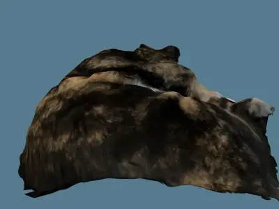 Sleeping Cat Photoscan Low-poly 3D model