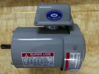 Electric Induction Motor  3D model