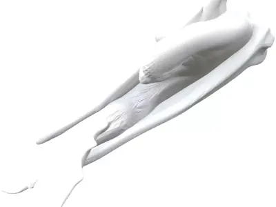 night fury how to train your dragon 3D print model