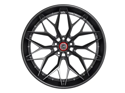 AL13 Carbon Series CF-R80 Duoblock Wheel 3D model