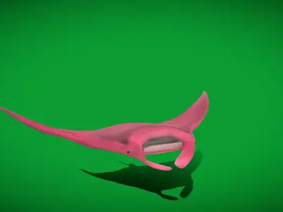 Pink Manta Mobula Ray Free 3D model