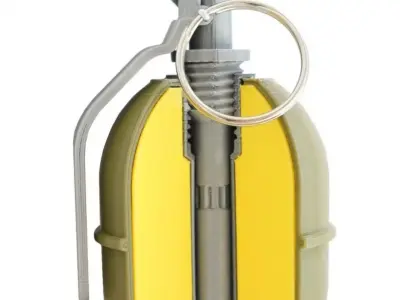 RGD-5 in the cut 3D print model