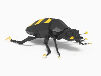 Bug low poly beetle 3D model
