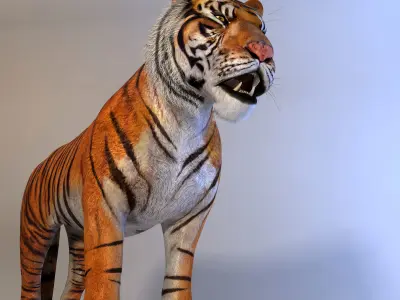 Amur Tiger Mray v1 Low-poly 3D model