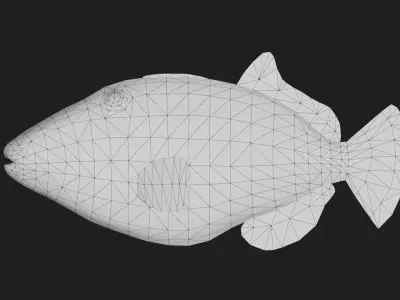 Filefish Low-poly 3D model 6