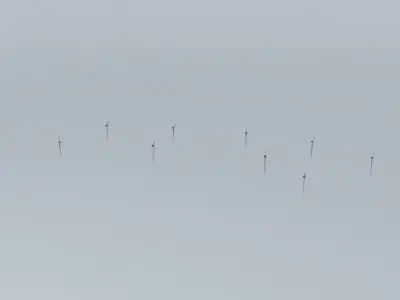 Woolnorth Wind Farm 3 Free 3D model