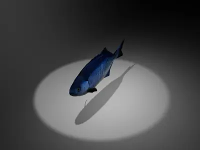 Blue perch Low-poly 3D model