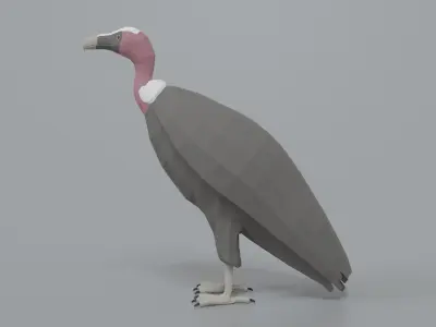 Low Poly Cartoon Vulture Low-poly 3D model
