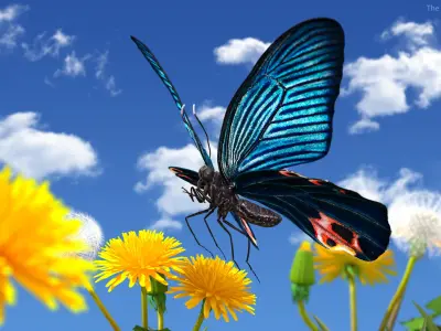 Animated Papilio Butterfly Flapping Wings Rigged for Cinema 4D 3D model