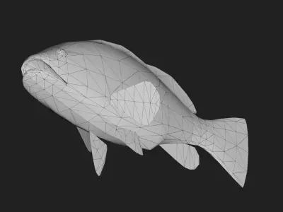 Grouper Low-poly 3D model buy