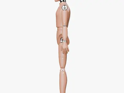 Crash Test Male Female and Child Dummy 3D model