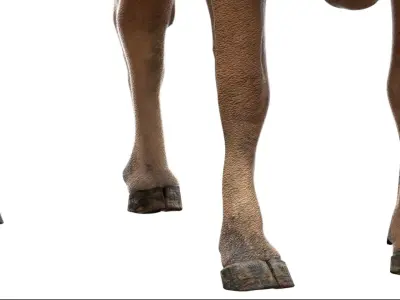  Cow NoFur Rigged 3D 