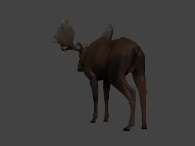 Moose Low-poly 3D model