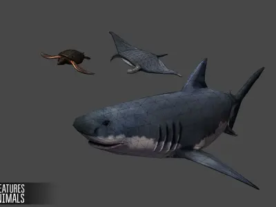 Sea Creatures Low-poly 3D model