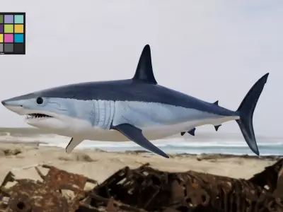 Shark  Mako model with materials 3D model