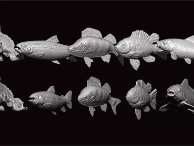 Koifish Low-poly 3D model