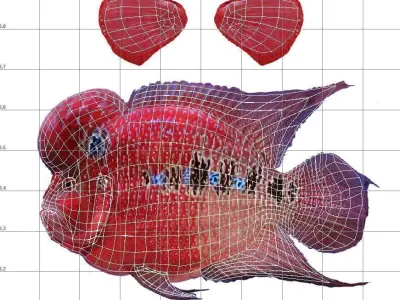 Flower horn Fish Low-poly 3D model