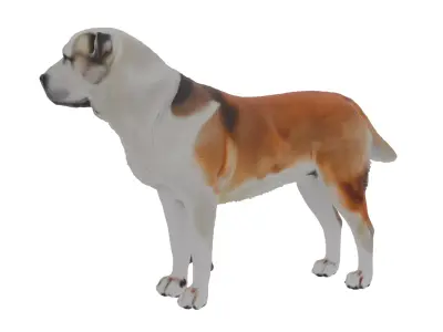 Alabai Dog Low-poly 3D model