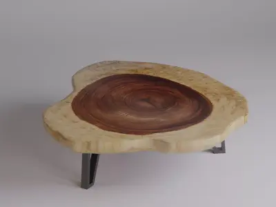 Suar Wood Coffee Table 3D model
