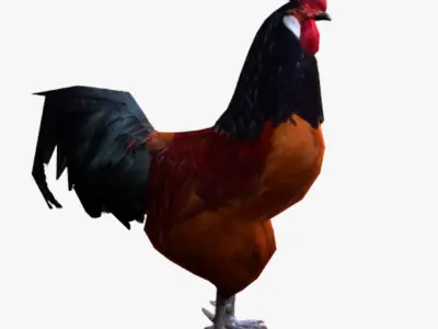 Rooster Low-poly 3D model