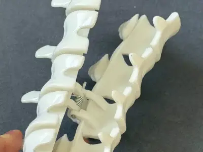 Spine hair clips v1 3D print model
