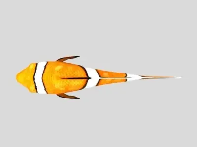 Rig Fish01 Low-poly 3D model