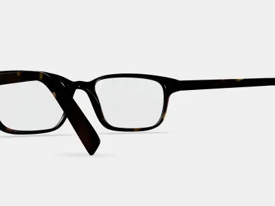 Crane Eyeglasses in Whiskey Tortoise Low-poly 3D model