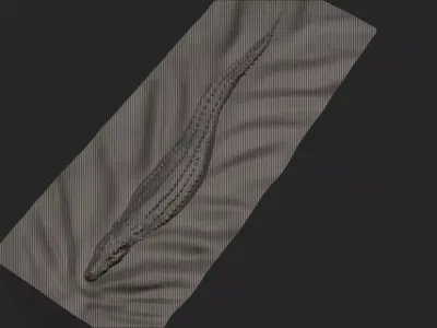 Swimming Crocodile STL Free low-poly 3D model