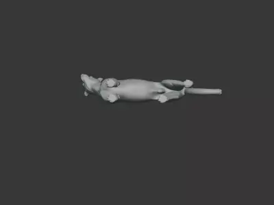 Cheetah Miniature Low-poly 3D model