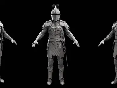 Dragon Fantasy Knight 3D model