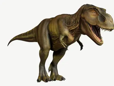 Tyrannosaurus Rex Low-poly 3D model 10