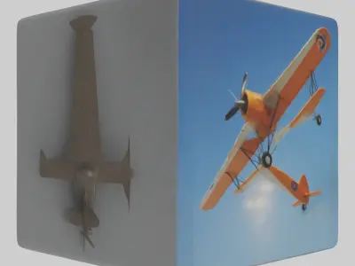 Cub Model 1 Low-poly 3D model