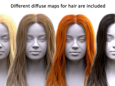 Womans Hair with Eyelashes and Eyebrows 3D model