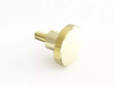 Screw 89 3D model