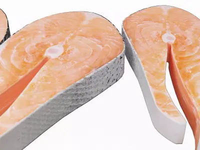 Salmon Fish 3D model get