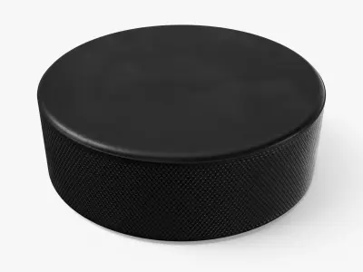 Hockey Puck 3D model buy