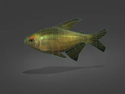 Zitronensalmler fish Low-poly 3D model