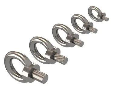 Ring Nuts DIN580 3D model