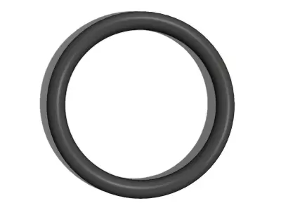 O Ring Vedabras 12293 3D model