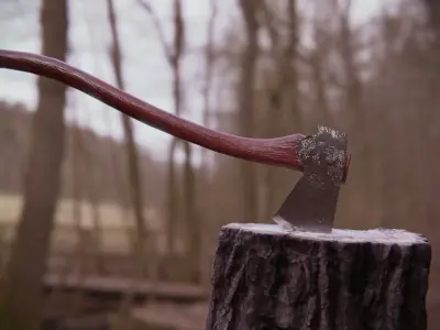 Realistic Axe Free low-poly 3D model