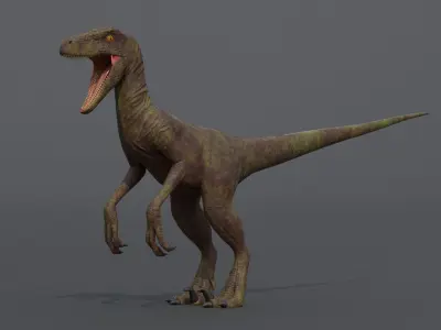 Velociraptor dinosaur Low-poly 3D model buy