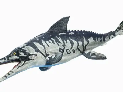 Ichthyosaur Animated 3D model