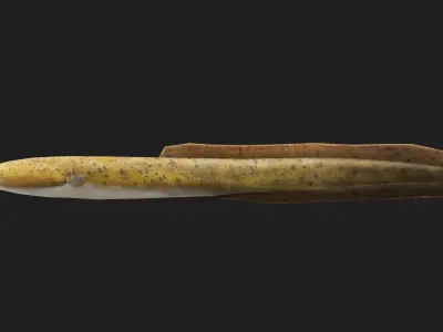 Eel fish Low-poly 3D model buy