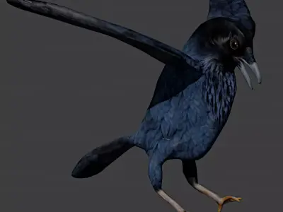 Low poly raven Low-poly 3D model
