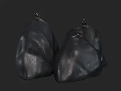 Realistic Garbage Bag 3D Model  Low-poly 3D model